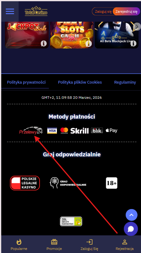 przelewy24.png